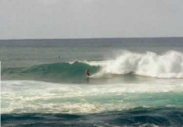 Surfer