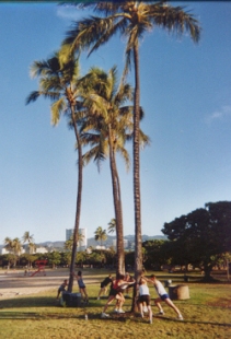 Palmengymnastik